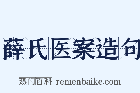 薛氏医案造句是什么意思的图片